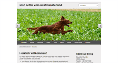 Desktop Screenshot of irish-setter-vom-wml.de